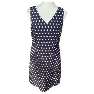 Ann Taylor Polka Dot Dress